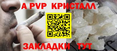 не бодяженный Кингисепп