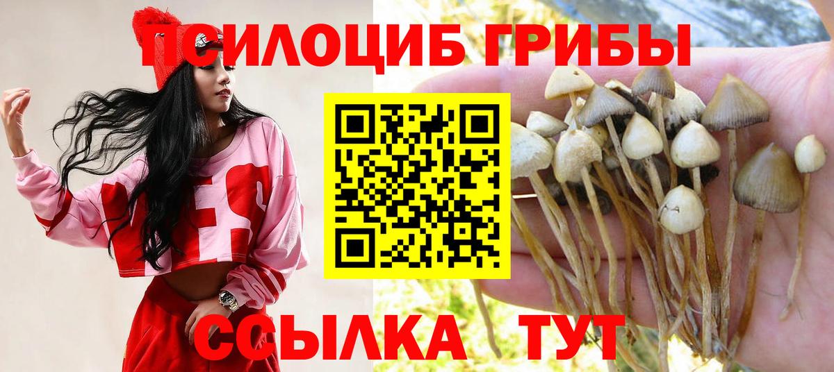 Крымск  Псилоцибиновые грибы Psilocybine cubensis  Вход с VPN 